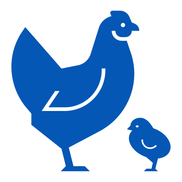 Icon for Poultry