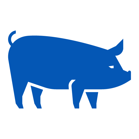 Icon for Swine