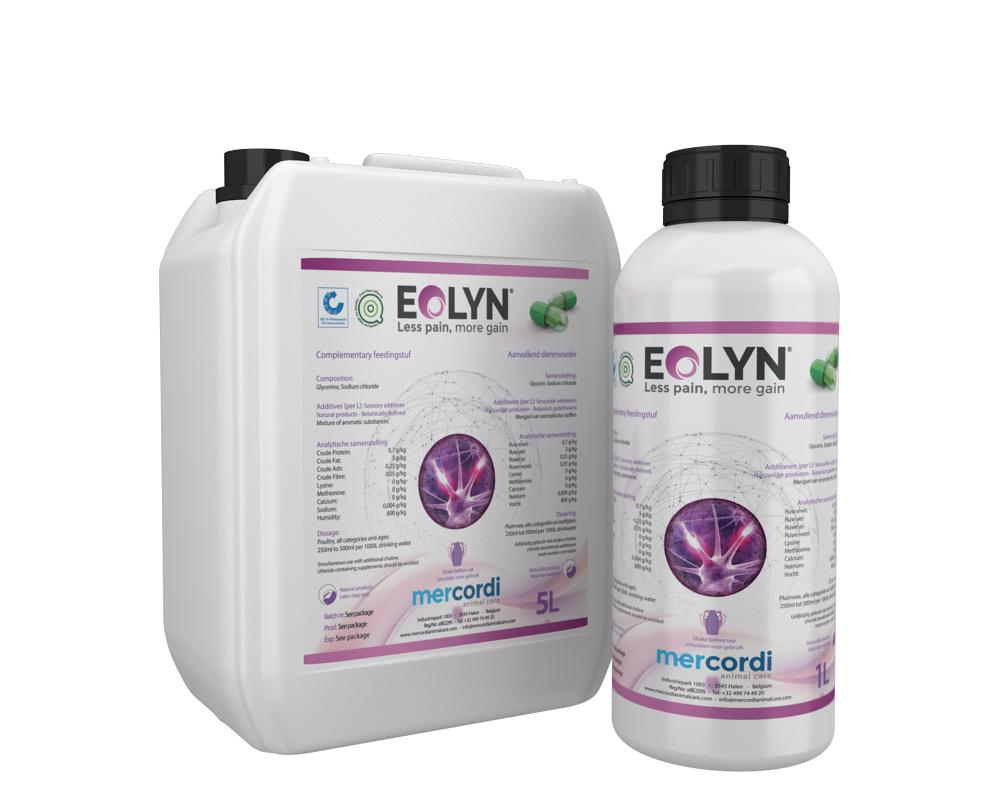 Eolyn supplement container