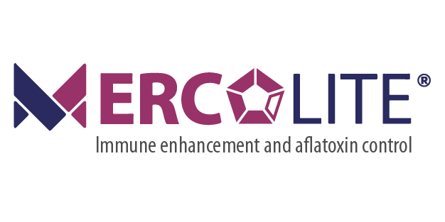 logo of Mercolite