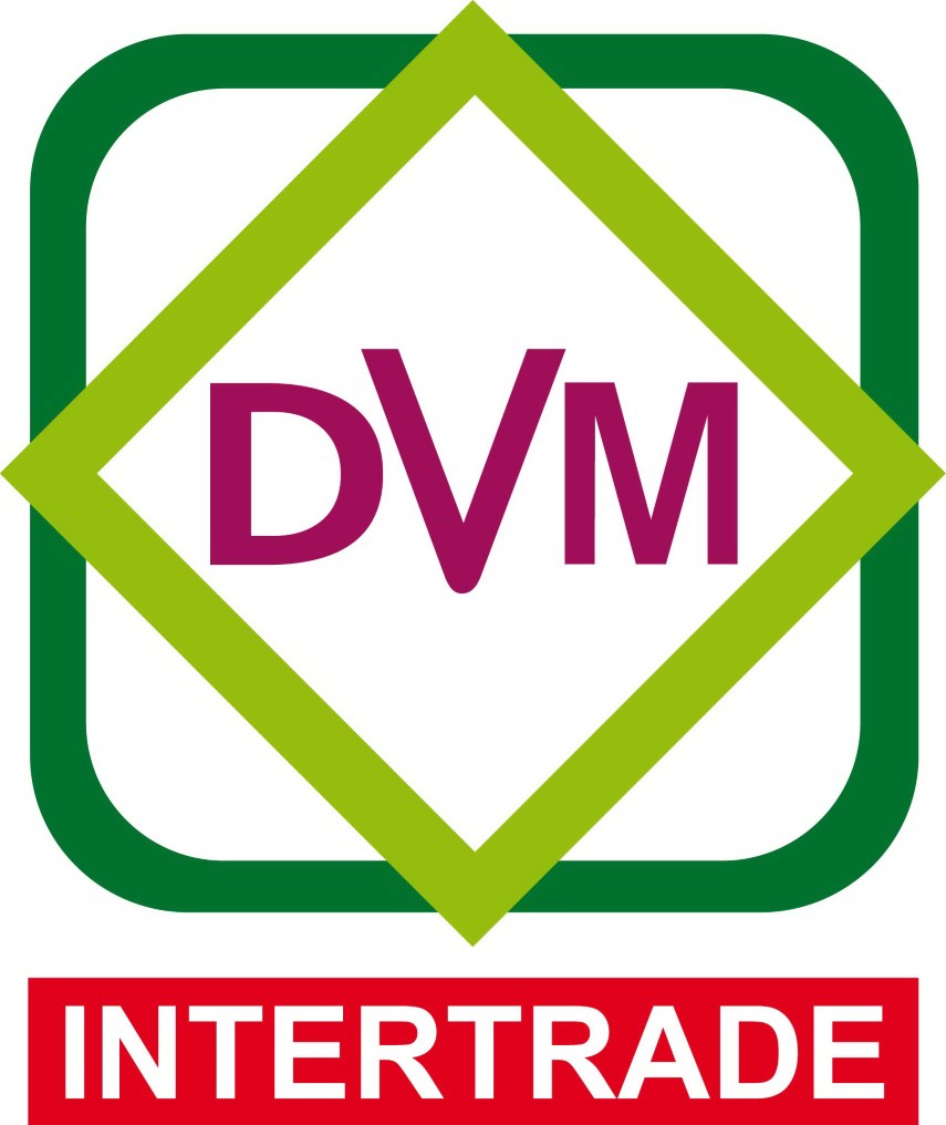 DVM Intertrade CO. LTD. logo