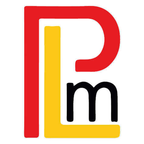 Palladium Master Pvt Ltd logo
